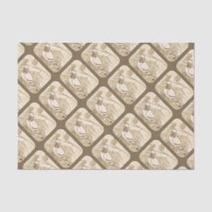 Papel De Seda Pombo na floresta