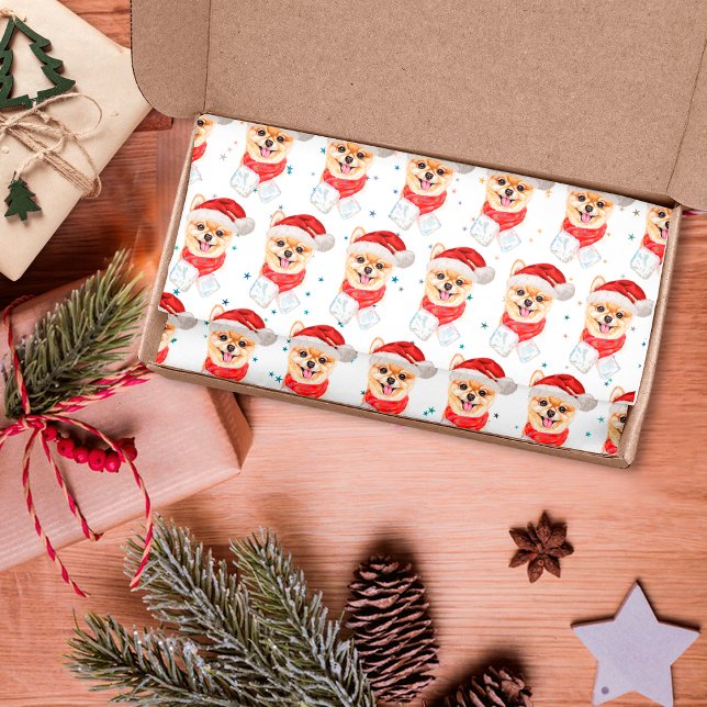 Papel De Seda Pomeranian Dog Breed Christmas Stars (Criador carregado)