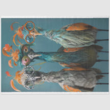 Ponte de Despojamento Wackadoodle Brincando Aves