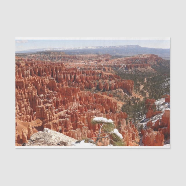 Papel De Seda Ponto de Inspiração no Bryce Canyon I (Frente )