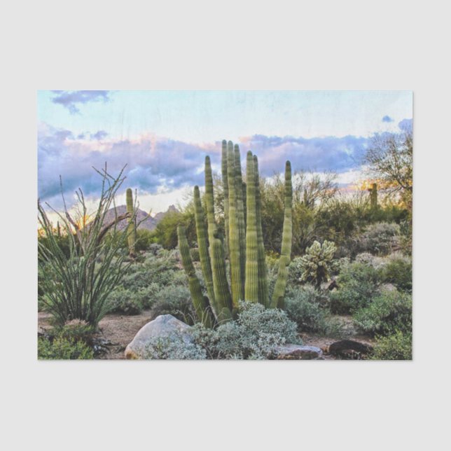 Papel De Seda Por do sol do Succulent de Scottsdale (Frente )