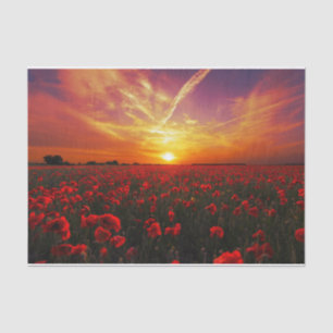 Papel De Seda Por do sol vermelho bonito do campo de flor da