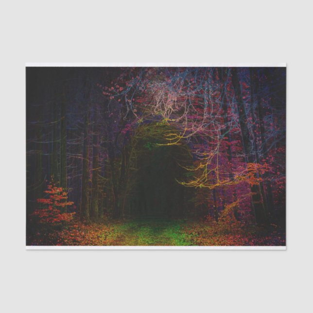 Papel De Seda Poster de Paisagem da Floresta Midnight (Frente )