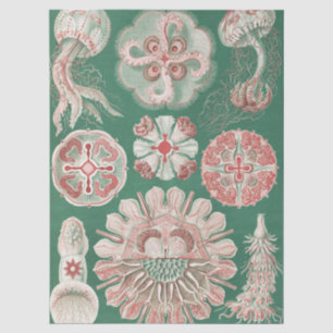 Papel De Seda Pôster Verde de Água-viva Rosa da Vida Marinha de 