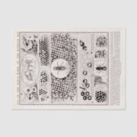 Poster vintage de abelhas do trabalhador da série