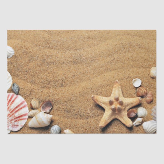 Papel De Seda Praia de Seashells Holiday (Frente )