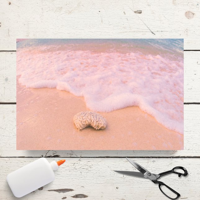 Papel De Seda Praia Relaxante Com Conchas Cayman Islands (Criador carregado)
