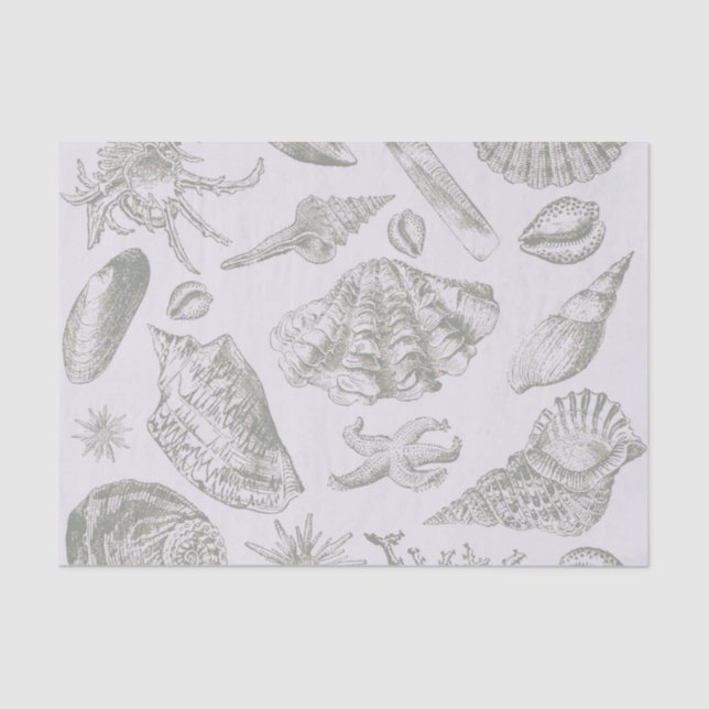 Papel De Seda Prateleiras de Arte Suave de Seashell (Frente )