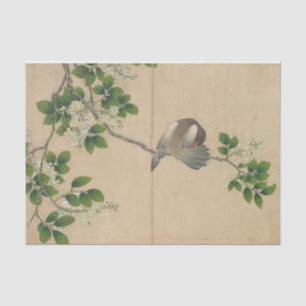 Papel De Seda Preening Bird por Zhang Ruoai