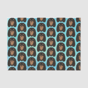 Papel De Seda Presente do Rei Charles Spaniel, o Cavaleiro Negro