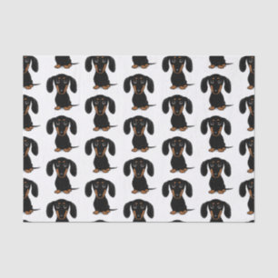 Papel De Seda Preto revestido liso bonito e teste padrão do