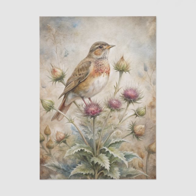 Papel De Seda Pretty Bird Perched on Purple Thistle Flowers (Frente )