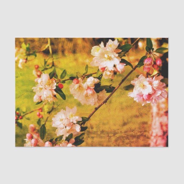 Papel De Seda Primavera, Cor-De-Rosa E Brilhos Brancos, Desligam (Frente )