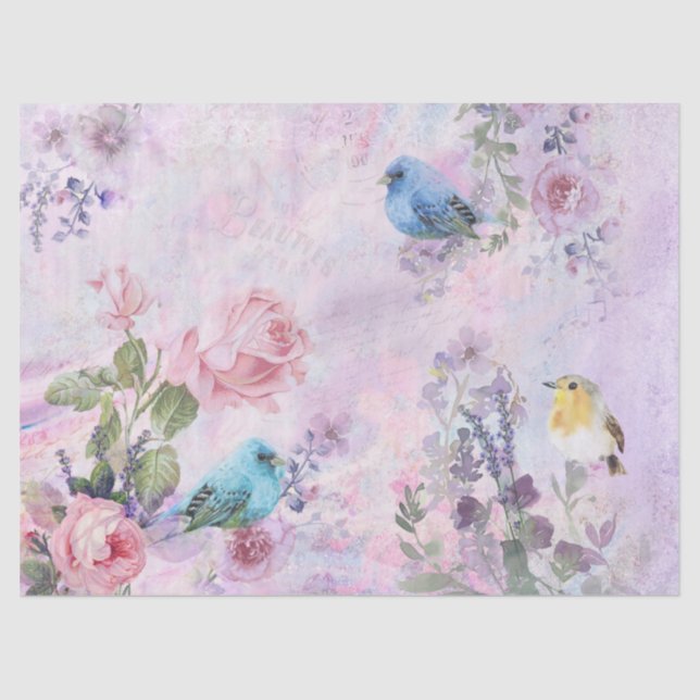 Papel De Seda Primavera Floral Rosas de Aquarelas Bird Pink Gard (Frente )