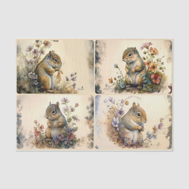 Papel De Seda Primavera Squirrels (Frente )
