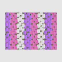 Primavera Tulip Field