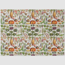 Produtos hortícolas saudáveis vivos