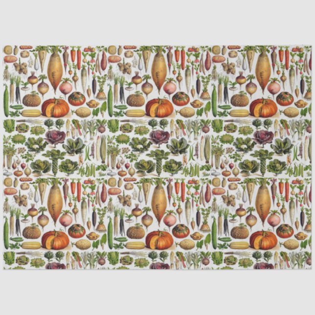 Papel De Seda Produtos hortícolas saudáveis vivos (Frente )