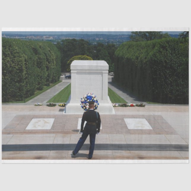Papel De Seda Protegendo a Desordem do Soldado Desconhecido (Frente )
