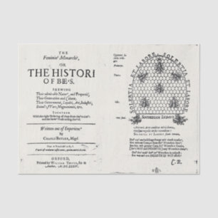 Papel De Seda Publicação da Rainha da Apicultura 1609