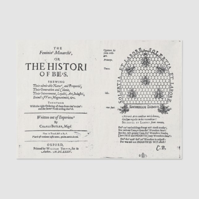 Papel De Seda Publicação da Rainha da Apicultura 1609 (Frente )