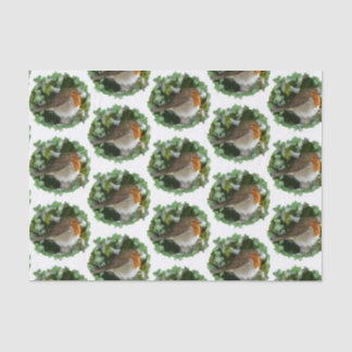 Papel De Seda Publicação técnica sobre robins - 15 gsm (10 lb),