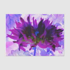 Papel De Seda Púrpura e preto Cactus Dahlia