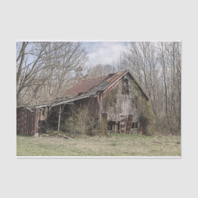 Papel De Seda Quebra do celeiro em meio a árvores nuas e escrube (Frente )