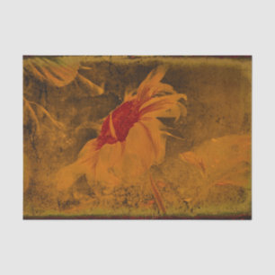 Papel De Seda Queda Laranja Vintagem de Girassol Textura Antica