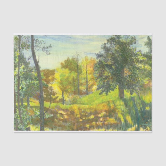 Papel De Seda Queda solar (Frente )