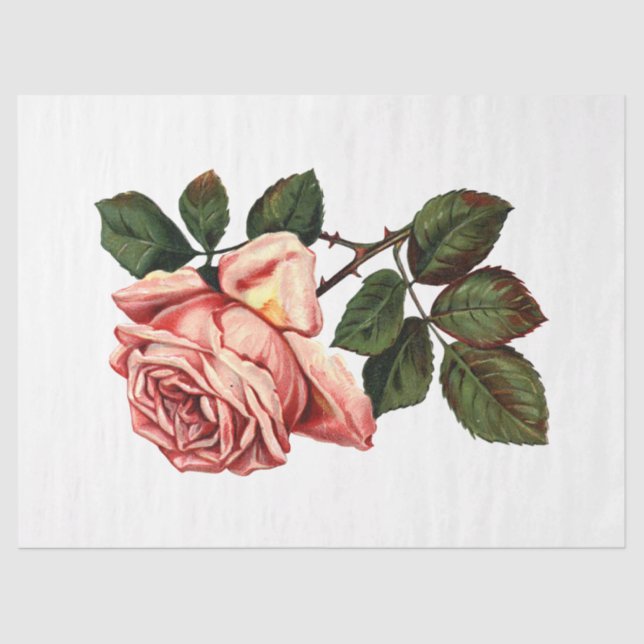 Papel De Seda Queen Bee Series Design 63 (Frente )