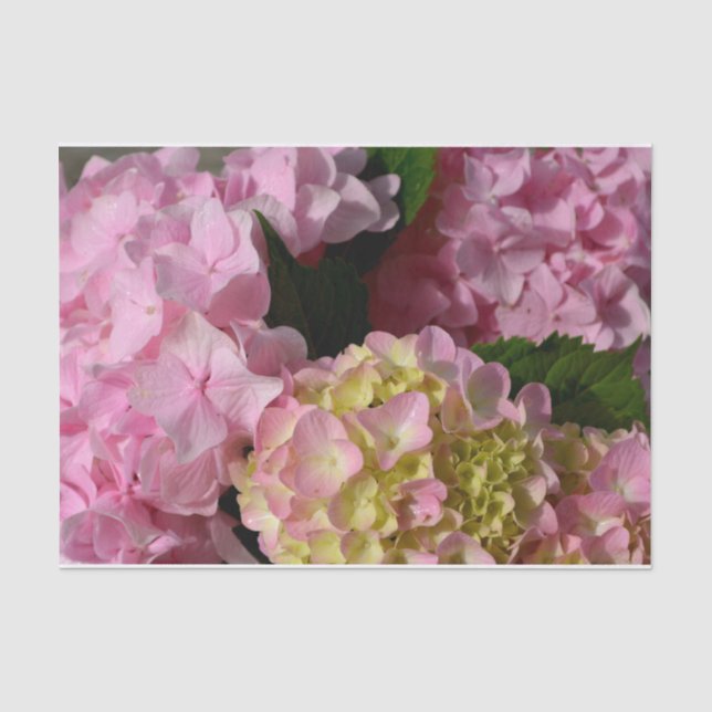 Papel De Seda Quic Pink e Cream Hydrangeas (Frente )