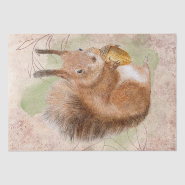 Papel De Seda Quirrel Watercolor (Frente )