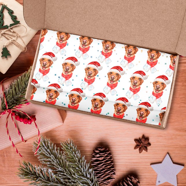 Papel De Seda Raça de Cão Labrador Natal (Criador carregado)