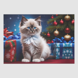 Papel De Seda Ragdoll Kitten Natal Presente