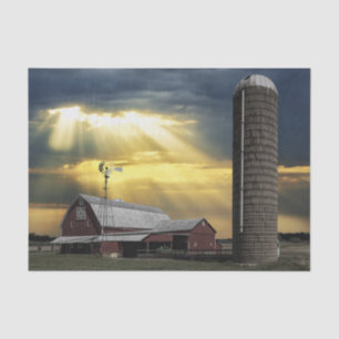 Papel De Seda Raios Sol Saindo em Camarões Vermelhos Após Tempes