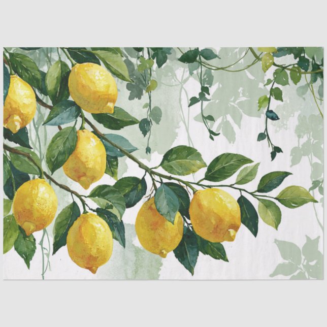 Papel De Seda Ramo de limão aquarela minimalista (Frente )