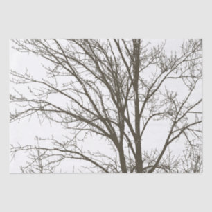 Papel De Seda Ramos de Árvore Marrom Rustic