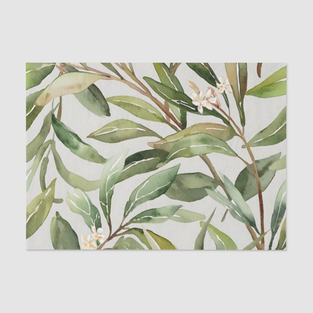 Papel De Seda Ramos de Oliveira Botânico em Aquarela (Frente )
