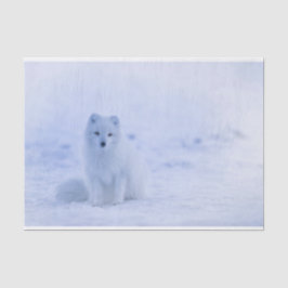 Papel De Seda Raposa Árctica Cuta no Fundo de Inverno de Neve