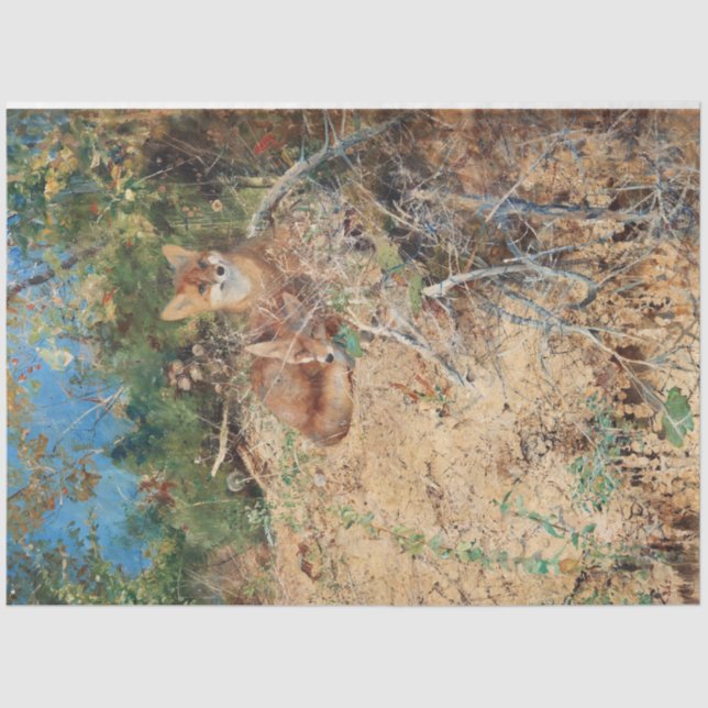 Papel De Seda Raposas, Bruno Liljefors (Frente )