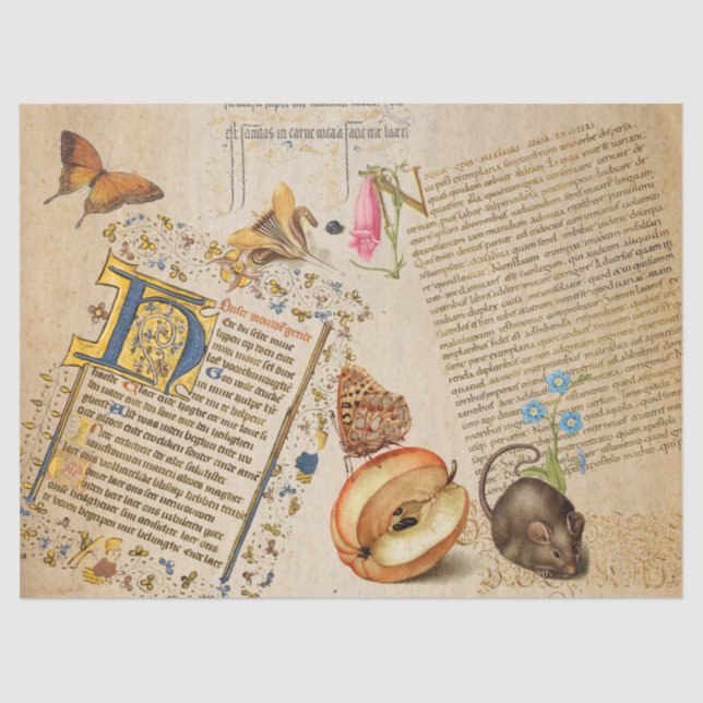 Papel De Seda Rato da Borboleta Flor de Script Iluminado (Frente )