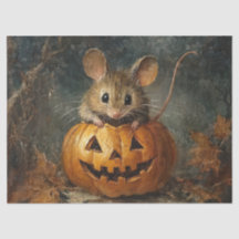 Rato fofo de Halloween com Abóbora para Decoupage