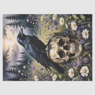 Papel De Seda Raven em uma Desnutação do Crânio