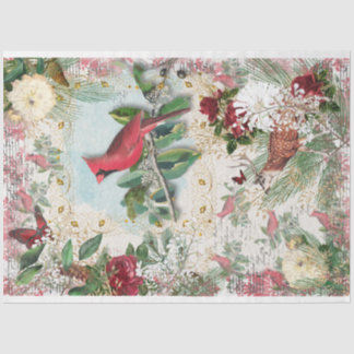 Papel De Seda Red Cardinal Christmas Music Rosas de inverno Dour