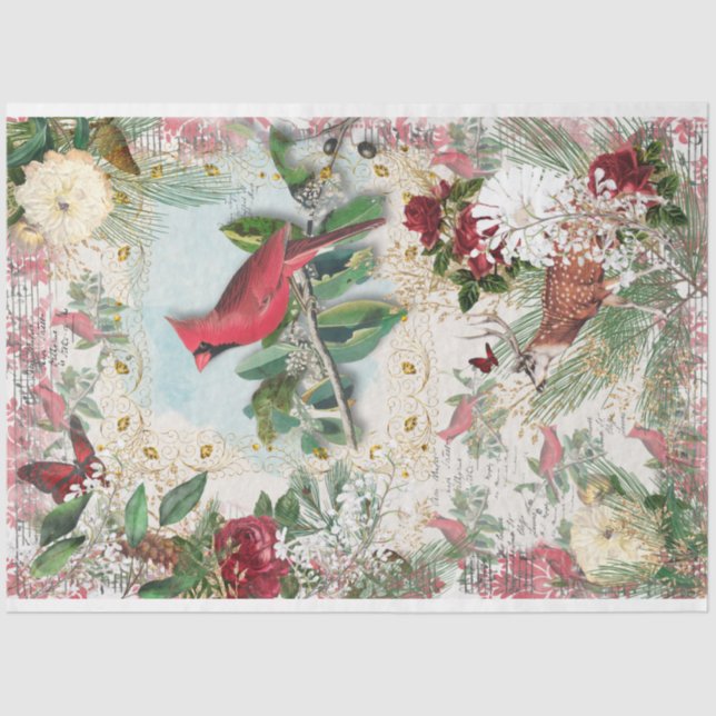 Papel De Seda Red Cardinal Christmas Music Rosas de inverno Dour (Frente )