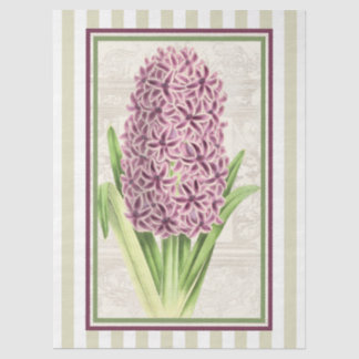 Papel De Seda Red Purple Hyacinth n Gold Stripes Botanical Art 