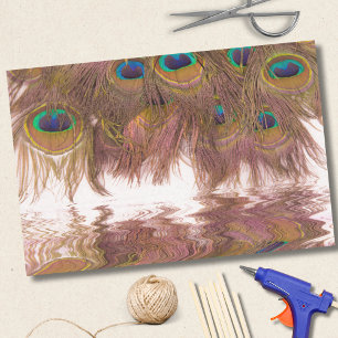 Papel De Seda Reflexões De Penas De Pavão