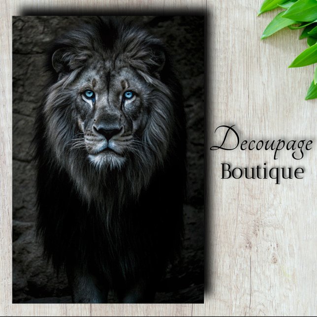 Papel De Seda Rei da Noite (Night King Decoupage Tissue Paper)