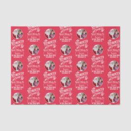 Papel De Seda Reindeer Express de Papais noeis Photo Christmas R